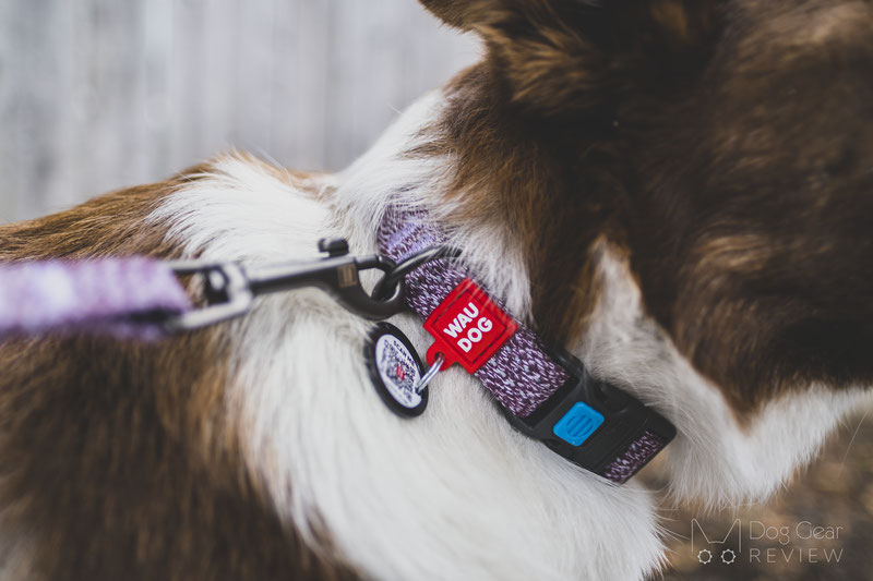 WAUDOG Eco-Friendly Re-Cotton Collar and Leash Review | Dog Gear Review
