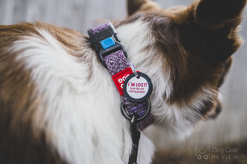 WAUDOG Eco-Friendly Re-Cotton Collar and Leash Review | Dog Gear Review