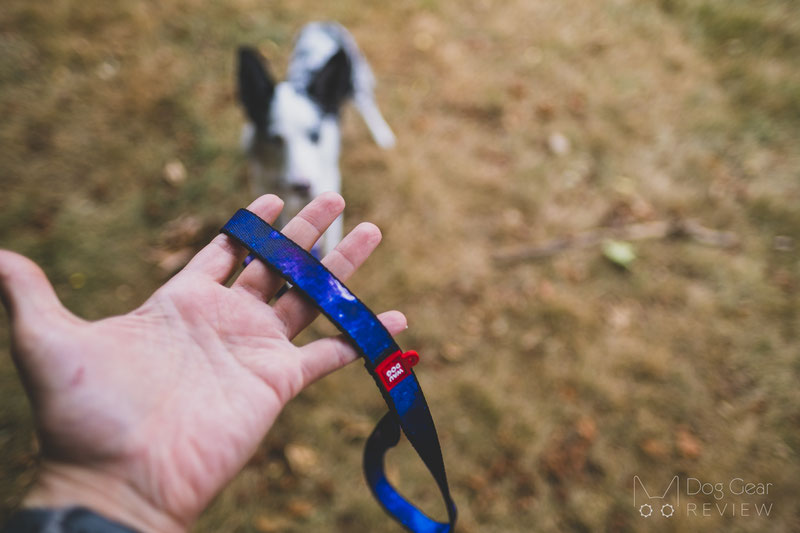 WAUDOG NASA Nylon Dog Collar and Leash Review | Dog Gear Review