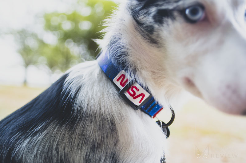 WAUDOG NASA Nylon Dog Collar and Leash Review | Dog Gear Review