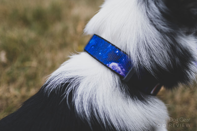 WAUDOG NASA Nylon Dog Collar and Leash Review | Dog Gear Review