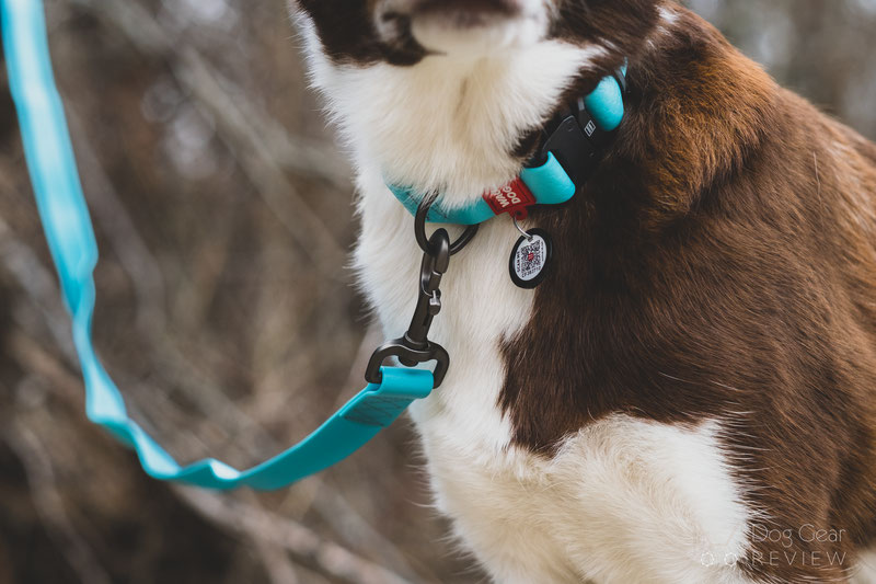 WauDog Glowing In The Dark Collar & Leash Review | Dog Gear Review