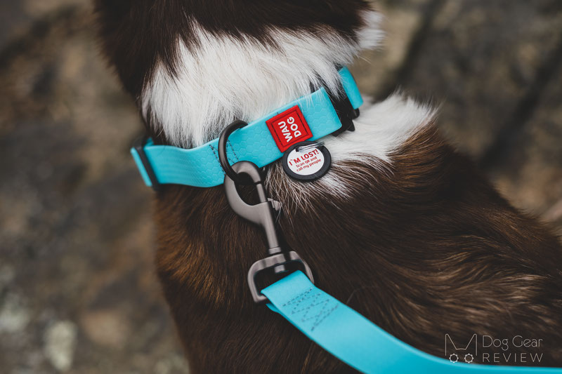 WauDog Glowing In The Dark Collar & Leash Review | Dog Gear Review