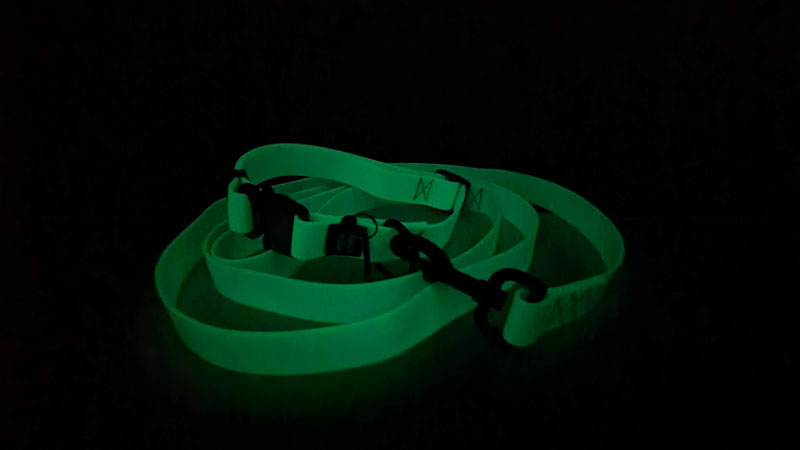 WauDog Glowing In The Dark Collar & Leash Review | Dog Gear Review