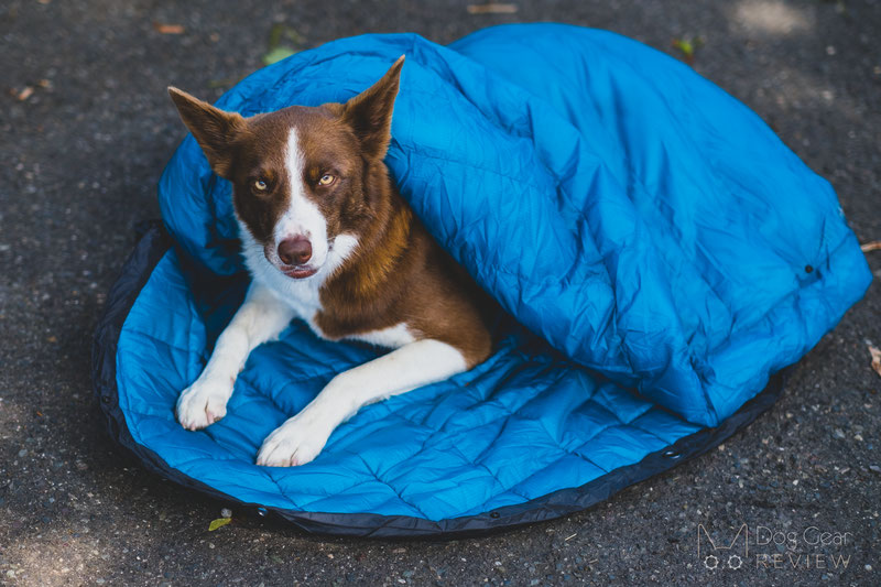 Whyld River's Original Sleeping Bag Review | Dog Gear Review