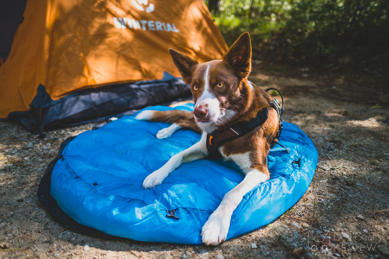 Whyld River's Original Sleeping Bag Review | Dog Gear Review