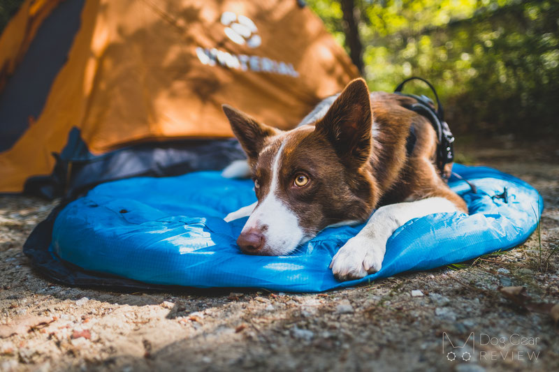 Whyld River's Original Sleeping Bag Review | Dog Gear Review