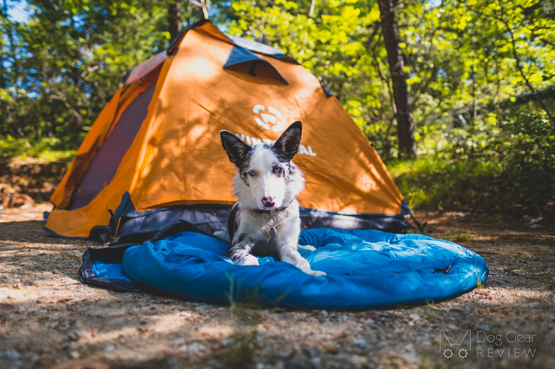 Whyld River's Original Sleeping Bag Review | Dog Gear Review