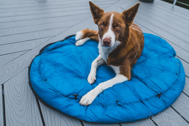 Whyld River's Original Sleeping Bag Review | Dog Gear Review