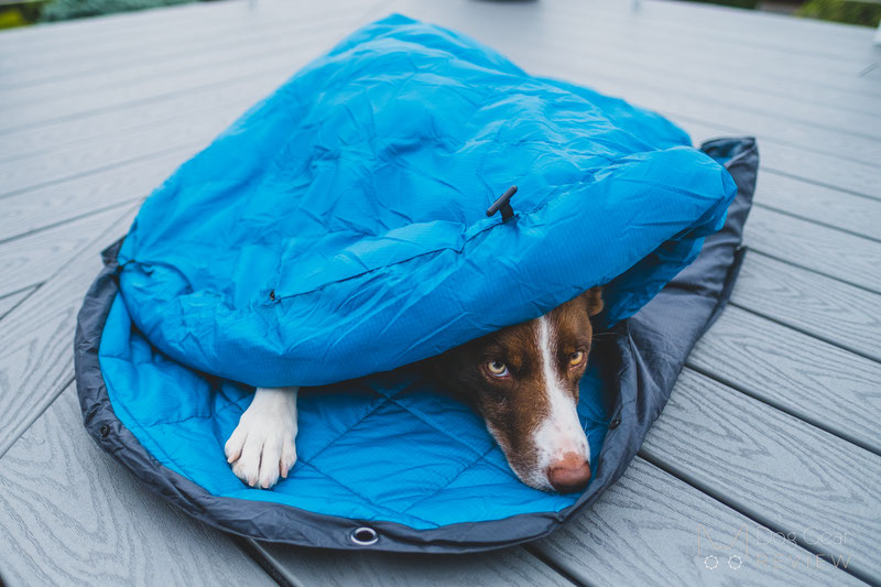 Whyld River's Original Sleeping Bag Review | Dog Gear Review