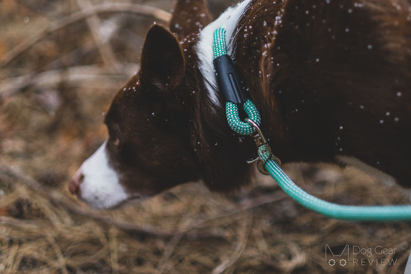 Wild Brother Signature Leash Review | Dog Gear Review